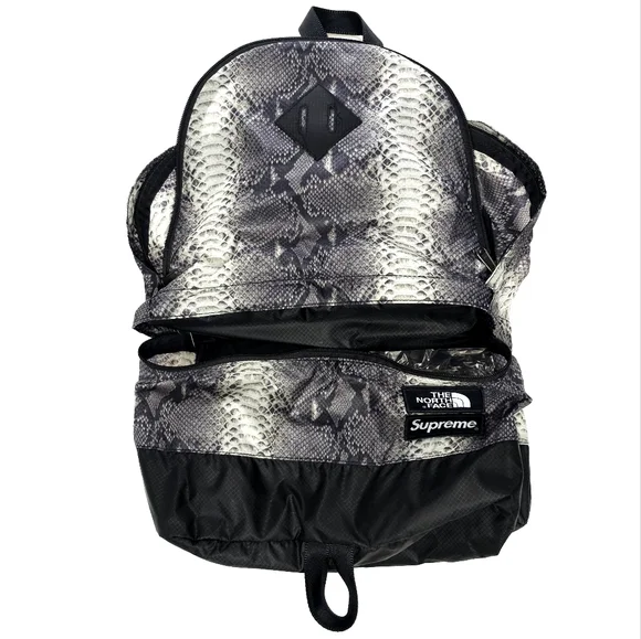 [LIMITED] SUPREME X THE NORTH FACE BACKPACK - Picture 3 of 7